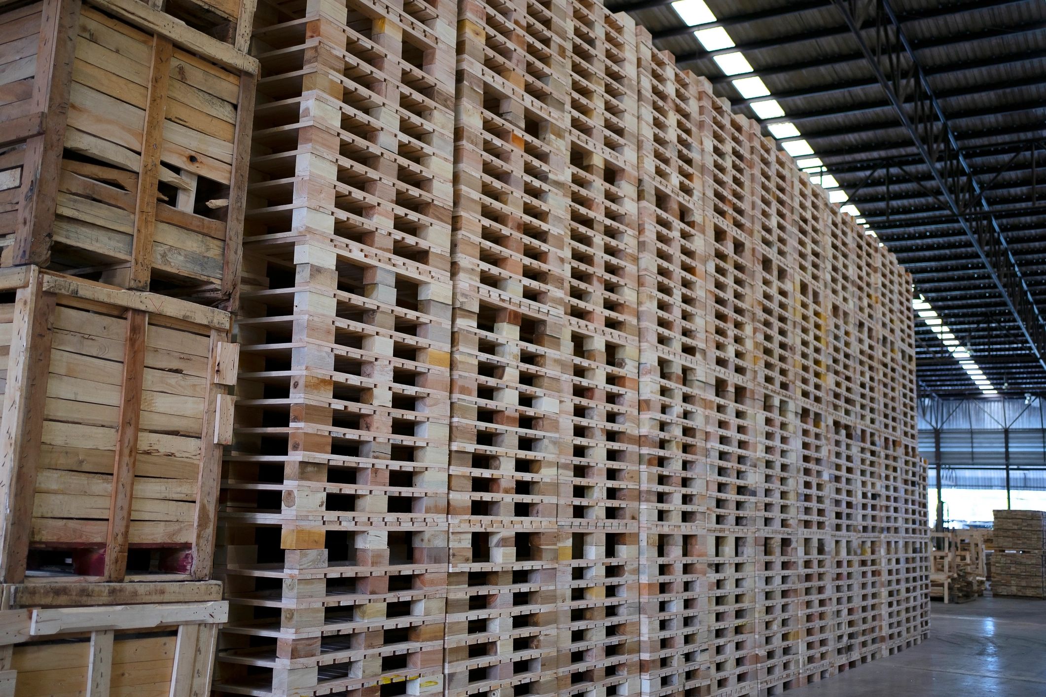 Área de almacén con pallets